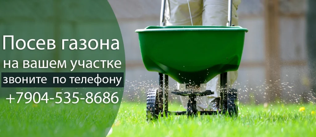 Посев газона на вашем участке