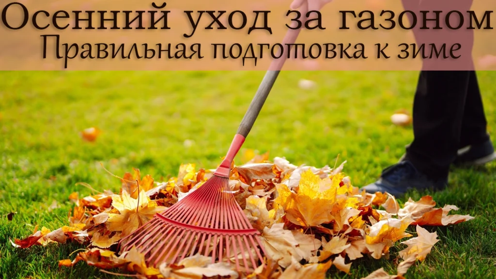 подготовка газона к зиме