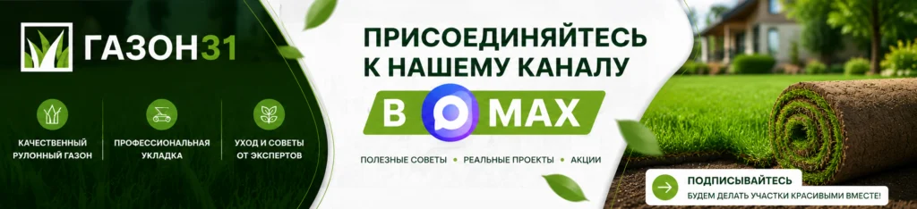Газон31 в Max